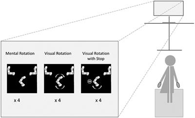 The effect of internal and external visualization of rotation on postural stability